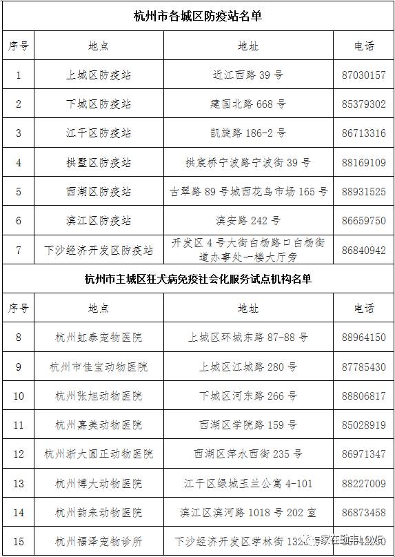 杭州最新养狗规定，打造人犬和谐共融的城市环境