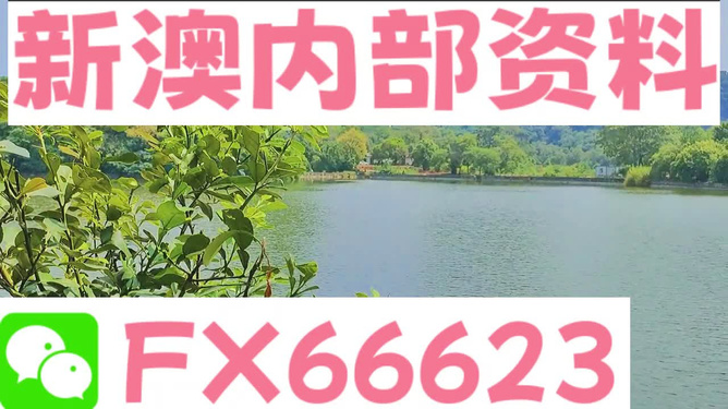 新澳精准资料大全,实地解析说明_NE版67.979