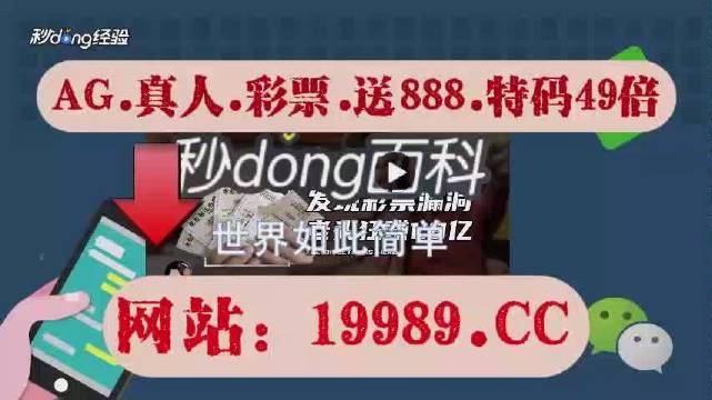 2024年新澳门开奖结果查询,准确资料解释落实_OP36.968