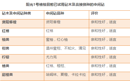 2024年澳门开奖结果,实证说明解析_精英款69.283