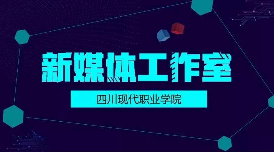 金蜘蛛最新招聘信息全面解析