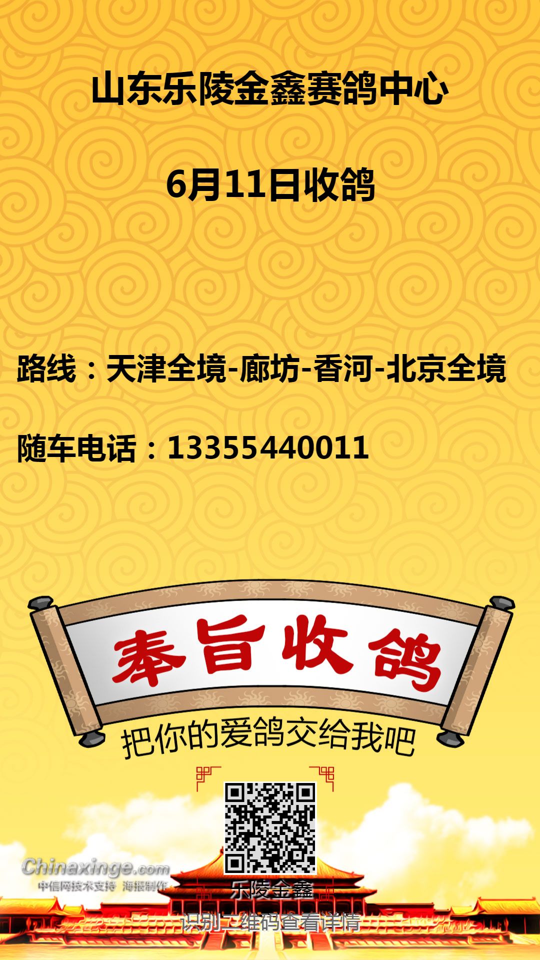 乐陵金鑫公棚最新公告全面解析