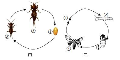 河北乙连生物最新消息深度解读与分析