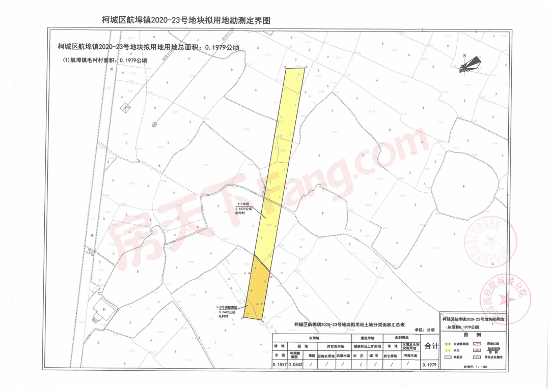 柯城区新篇章，引领区域发展新篇章公示