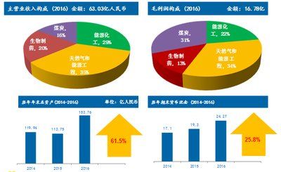 新奥正版全年免费资料,数据整合执行策略_尊贵款64.480