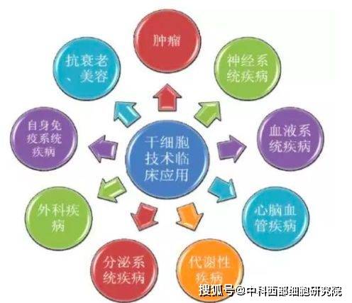 干细胞治疗糖尿病最新进展综述