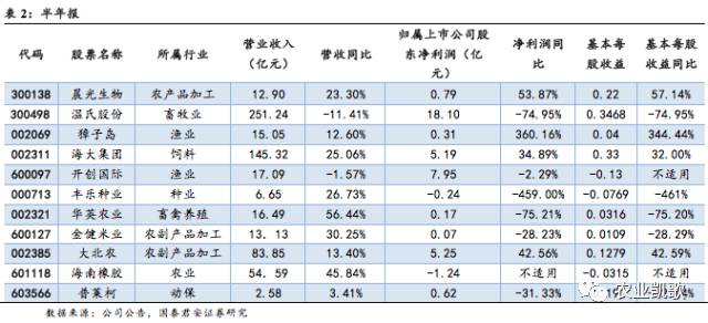 2024澳门马今晚开奖记录,专家观点说明_soft91.846