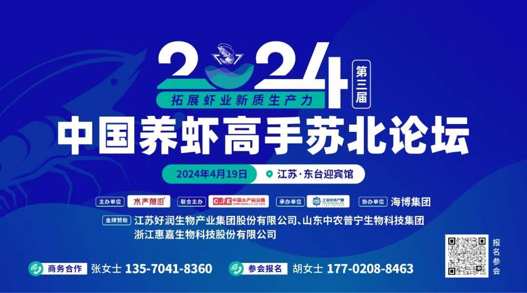 新澳门王中王高手论坛,灵活解析实施_专业款75.870