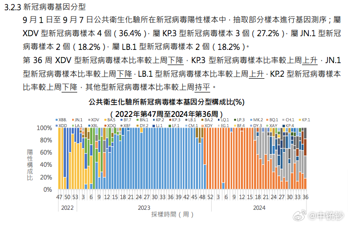 2024澳门最新开奖,深入执行数据策略_XT13.943