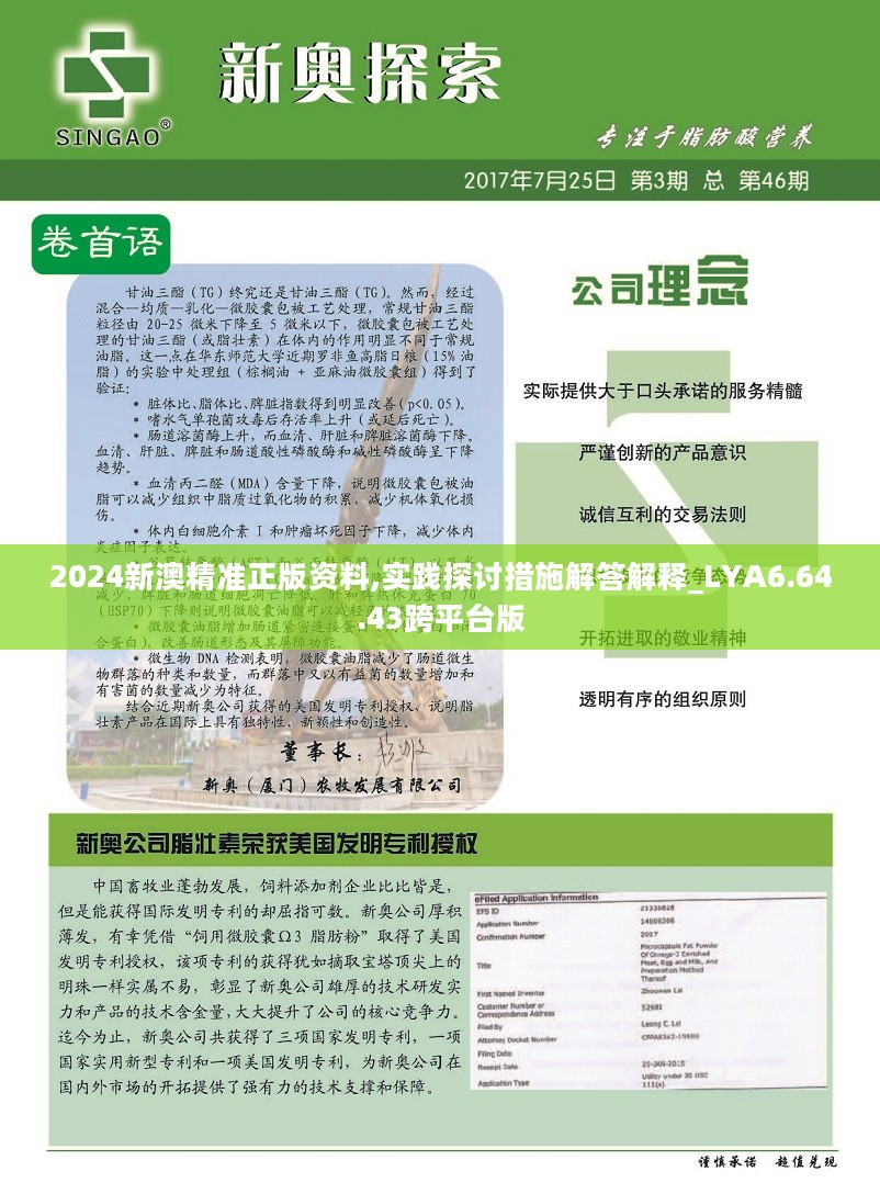 新澳2024年精准正版资料,实践研究解释定义_限量款73.169