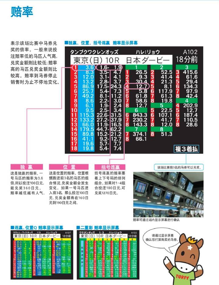 7777788888马会传真,数据支持设计计划_KP13.167