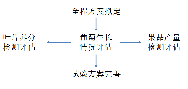 一码一肖100%精准,可行性方案评估_顶级款26.12