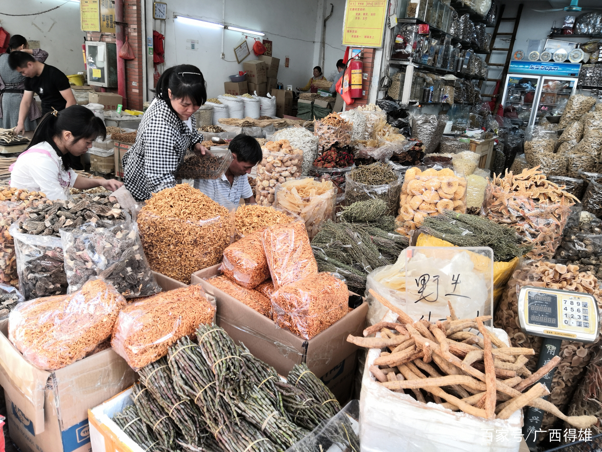 玉林药材市场最新价格动态与市场趋势深度解析