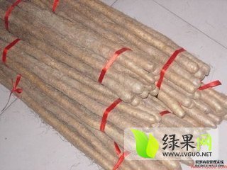 铁棍山药行情最新分析报告