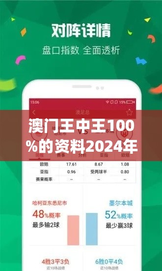 澳门王中王100,定性解析评估_专家版62.177