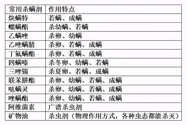 芦苇薇薇 第3页