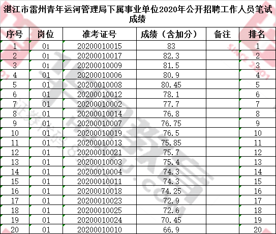 雷州市应急管理局最新招聘启事概览