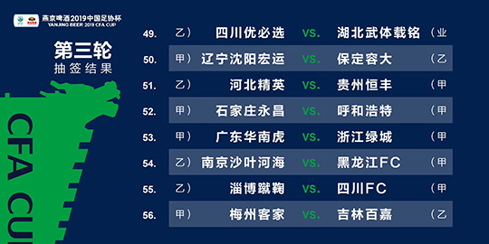 2024新澳三期必出一肖,系统化分析说明_储蓄版84.324