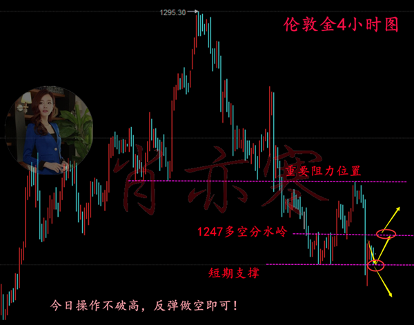 新澳门今晚必开一肖一特,多元化策略执行_Superior99.684