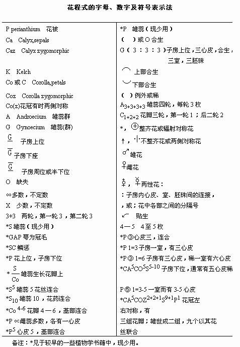 20024新澳天天开好彩大全160期,实证研究解释定义_入门版94.254