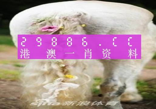 澳门一肖一码一l必开一肖,实地研究解析说明_4K97.220