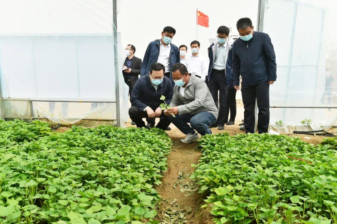 兴庆区自然资源和规划局最新项目，绿色引领城市发展篇章