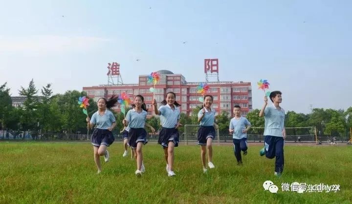 淮阳县小学招聘启事，最新教育职位空缺概览