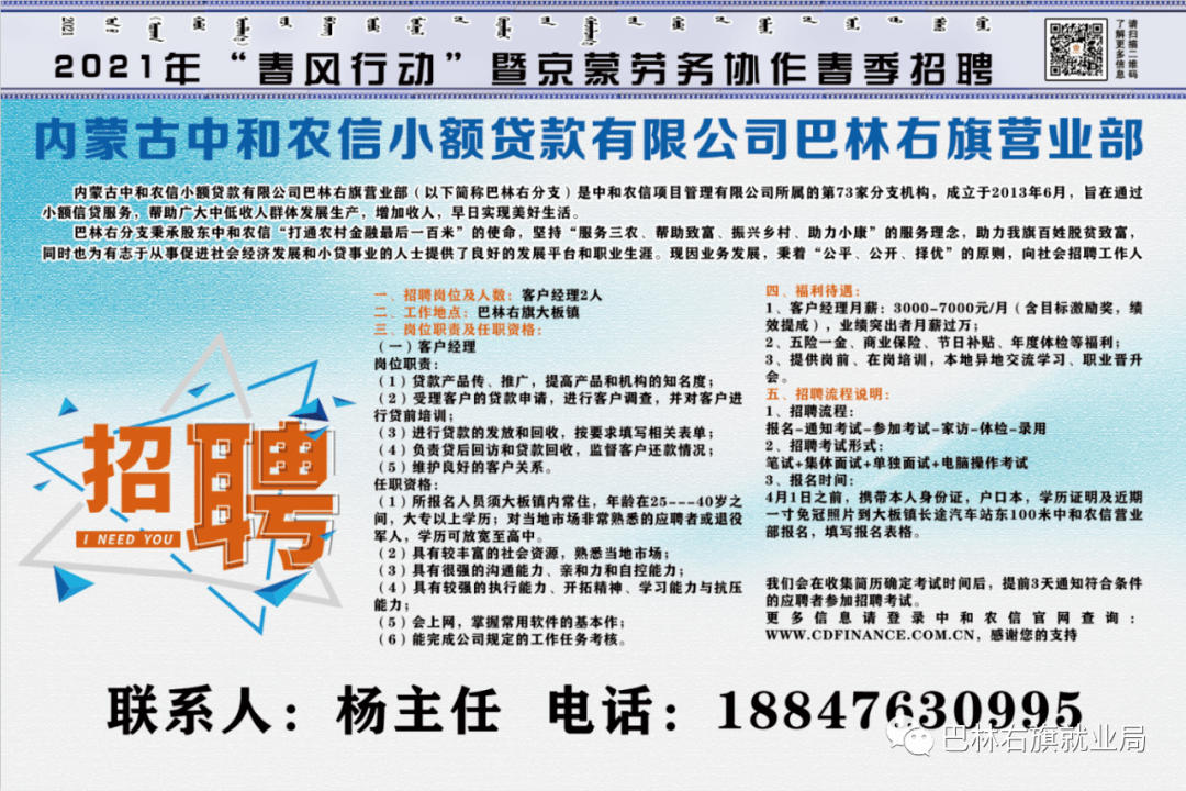 赵官镇最新招聘信息全面解析