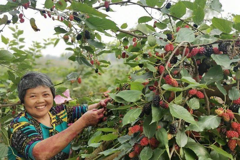 红骥牧场最新气象报告发布