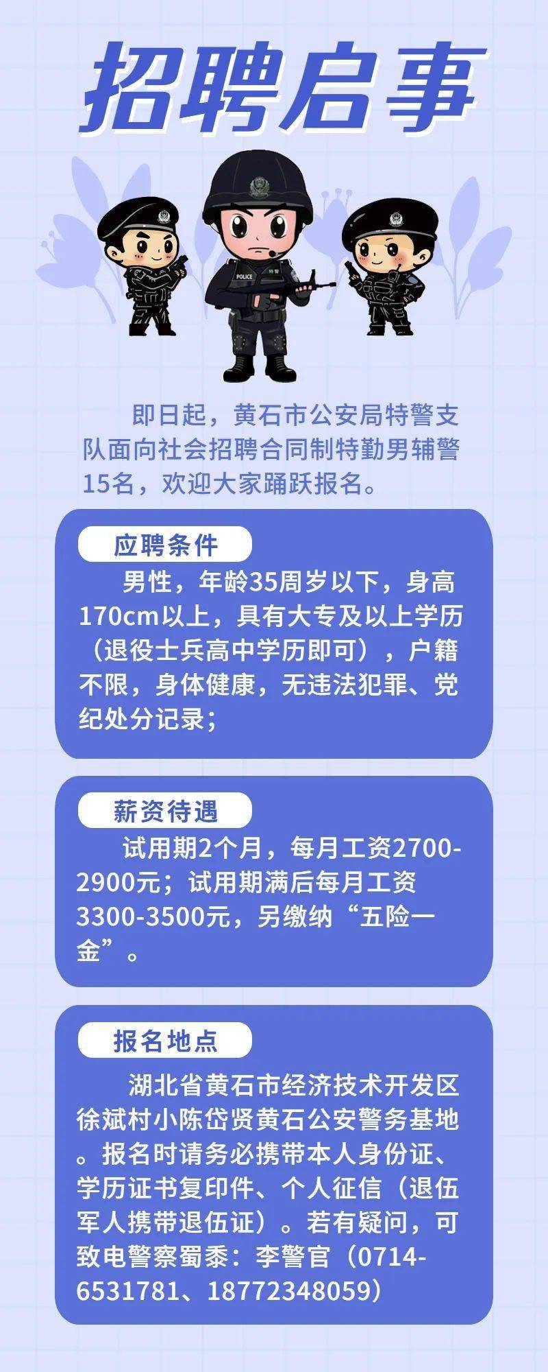 黄石市城市社会经济调查队最新招聘信息全面解析