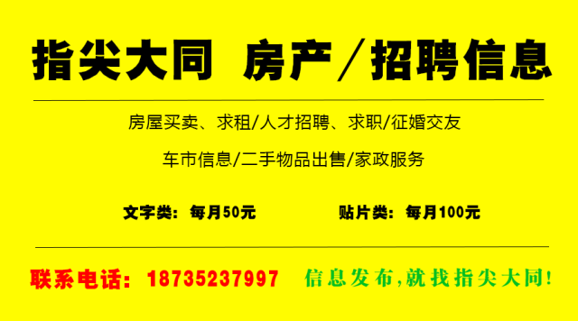 马义村最新招聘信息详解及深度分析