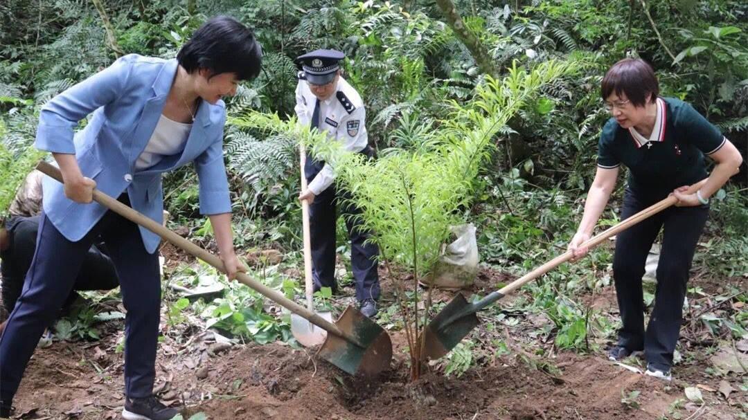 德保县发展和改革局最新动态概览