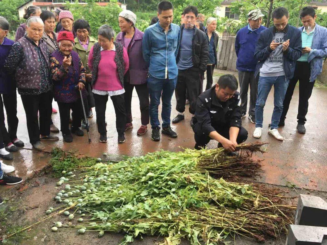 芙蓉桥白族乡最新招聘信息汇总