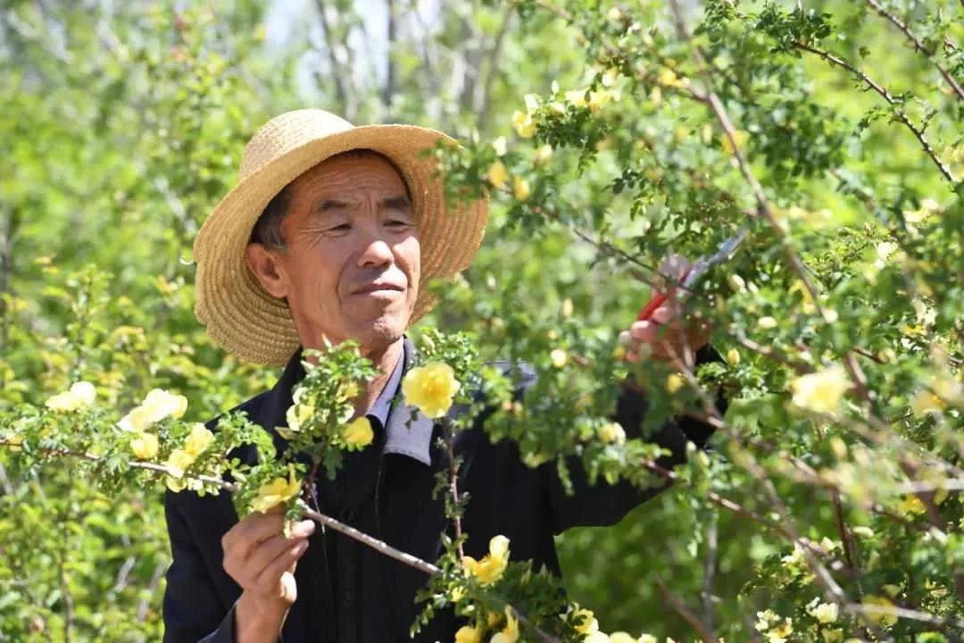 移山林场新任领导引领变革与发展之路