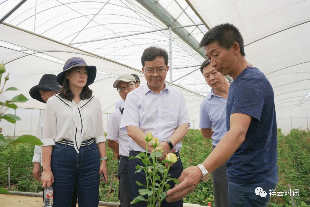 祥云县农业农村局领导团队全新亮相，展望未来发展之路