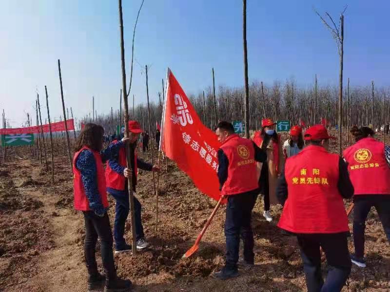 黄台岗镇最新项目，地区发展的强大引擎领航者