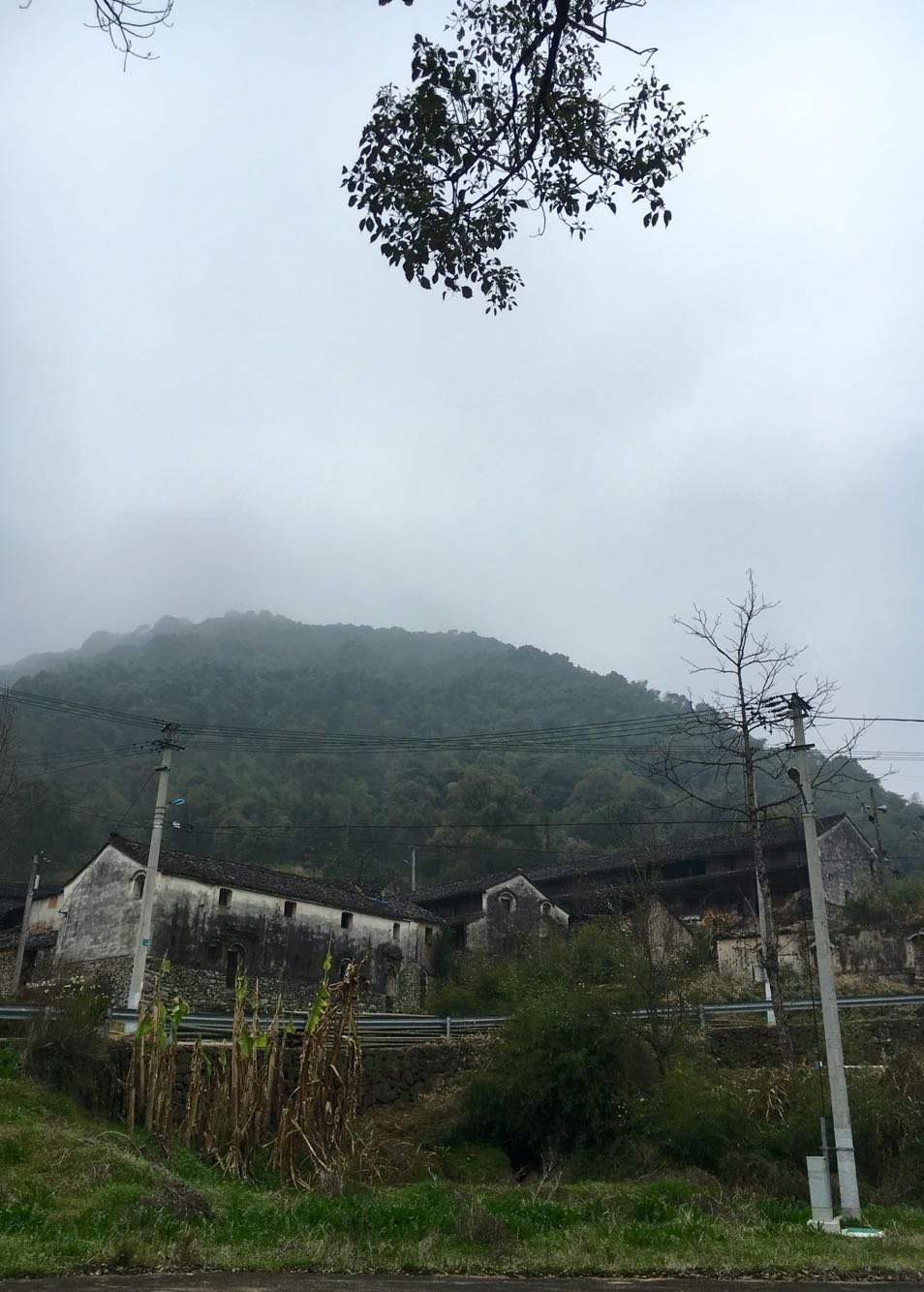 盘溪镇天气预报更新通知