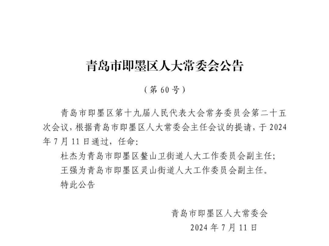 飞云公司人事大调整，引领未来，蓄势待发的新领导团队