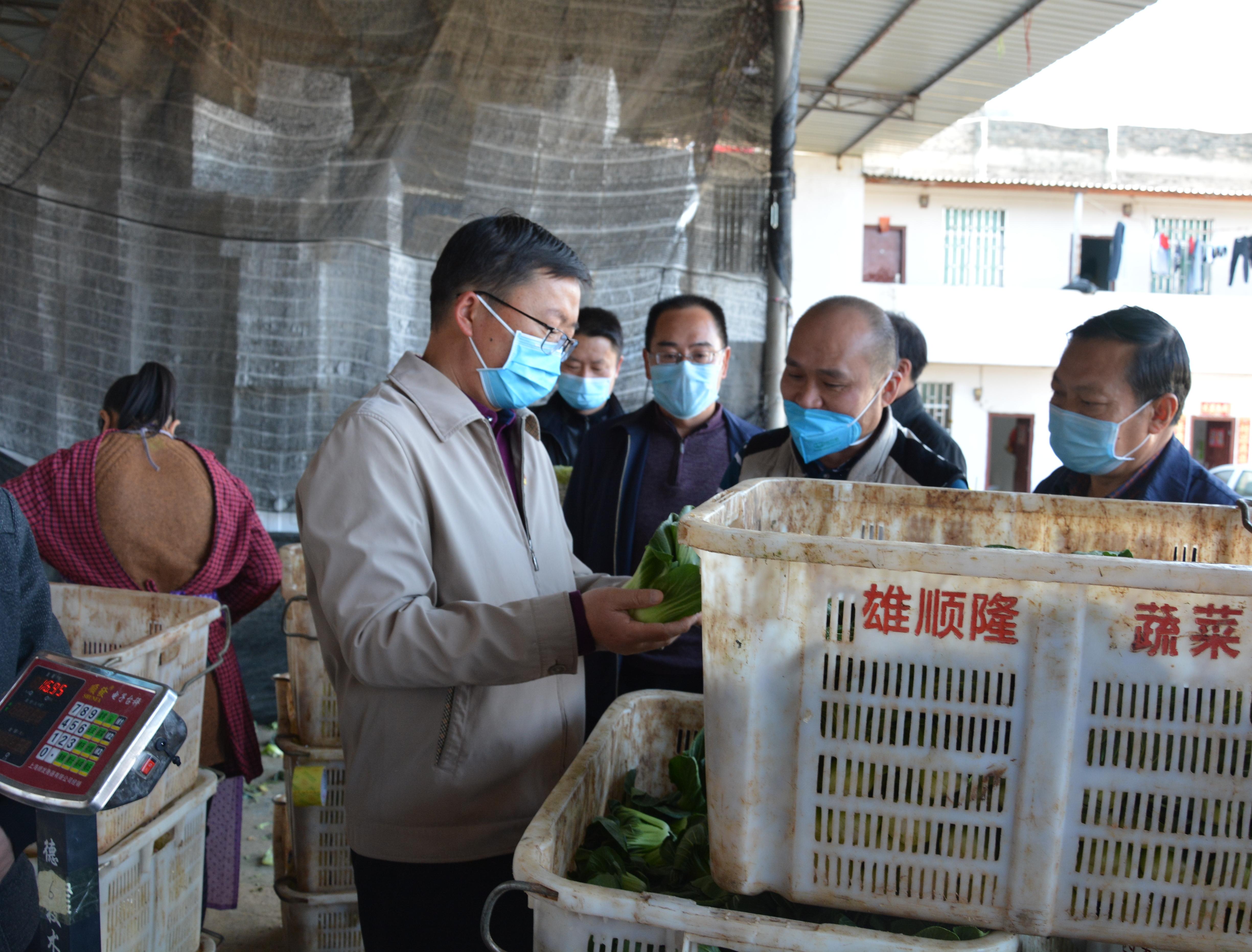 朱家堡村委会新项目启动，重塑乡村未来