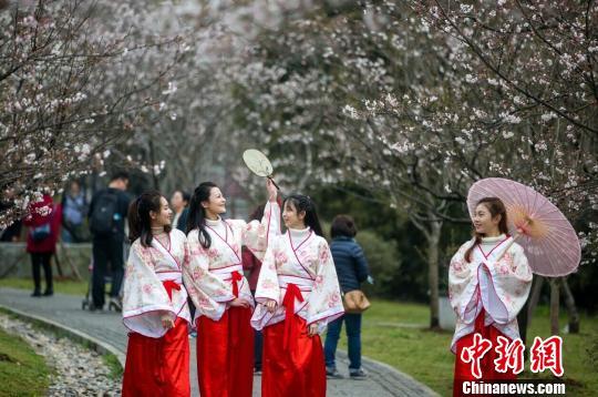 友谊街道最新气象预报