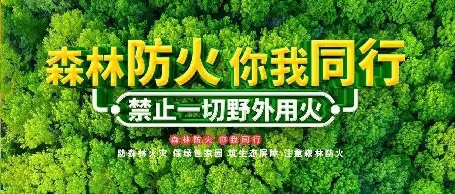 山西省长治市沁源县法中乡乡村振兴与绿色发展融合项目启动最新动态