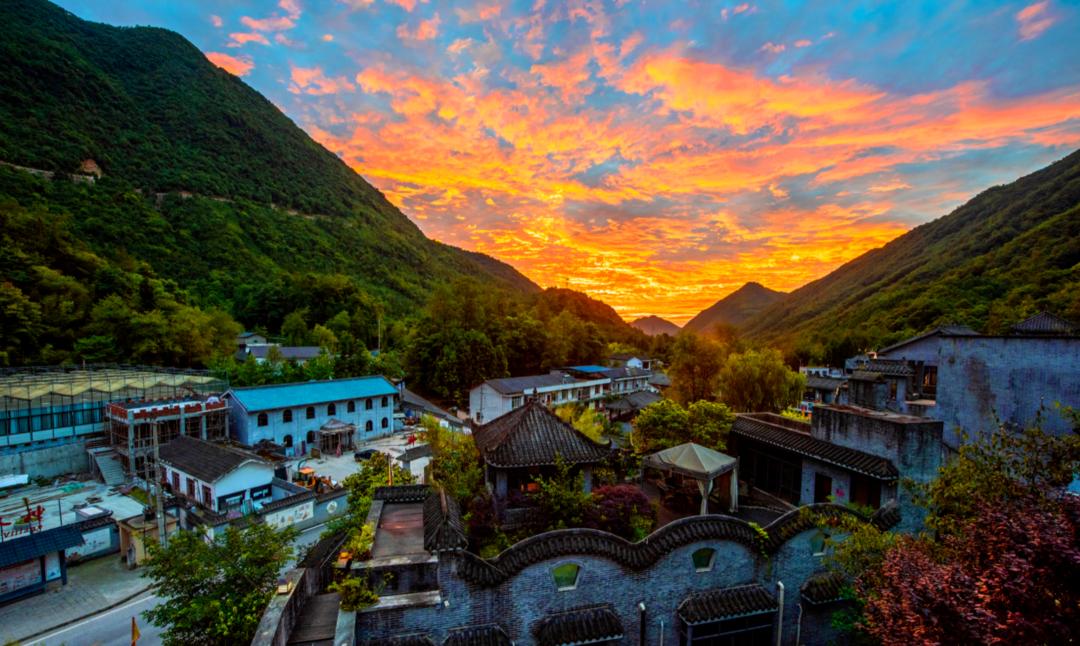 探索茶村新项目，现代茶文化之旅