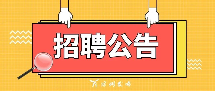 宿城区医疗保障局最新招聘公告详解