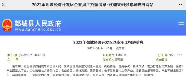 郯城县人民政府办公室最新招聘启事概览