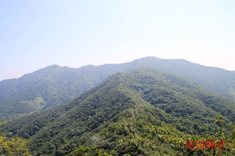 国营惠东九龙峰林场领导团队概览