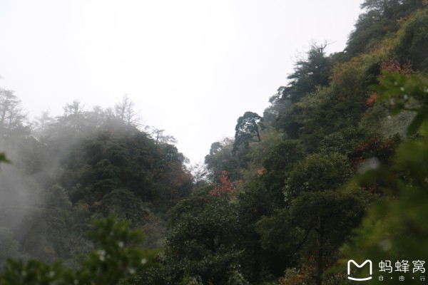 大历林场天气预报更新通知