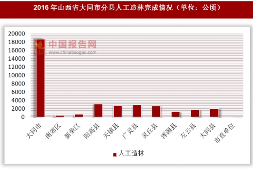 大同县数据和政务服务局最新项目进展报告概览