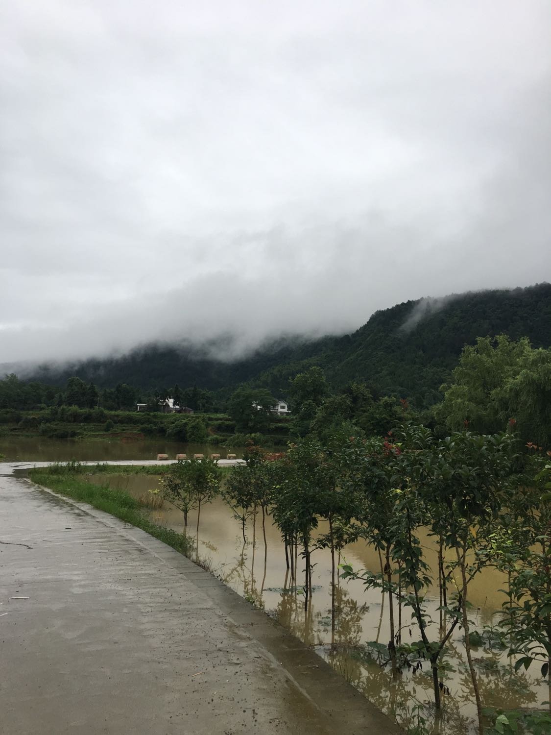 楮坪乡天气预报更新通知