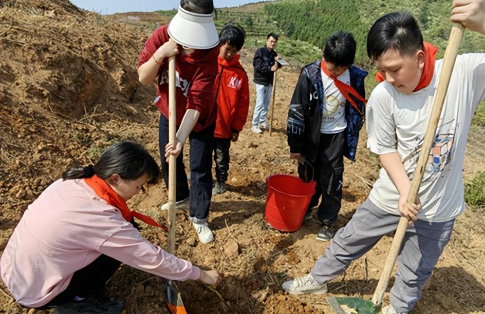 永兴乡交通新闻更新，迈向现代化交通体系的新步伐